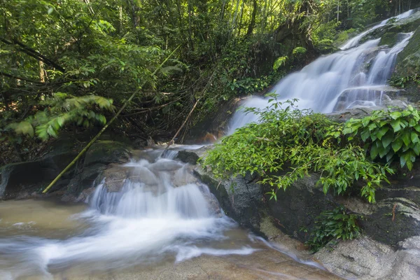 şelale yemyeşil yağmur ormanları içinde. 