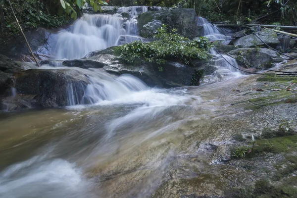 yağmur ormanı şelale.