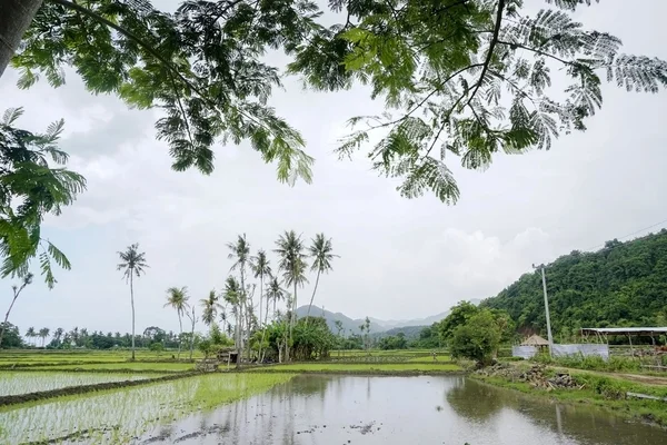 Lovina beach, Bali — Stock Photo, Image