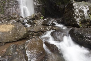 Lovina beach, Bali, Endonezya