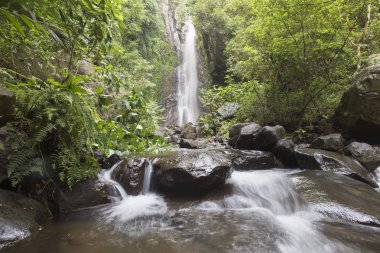 Lovina beach, Bali, Endonezya