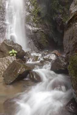 Lovina beach, Bali, Endonezya