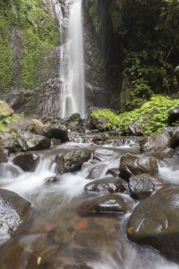Lovina beach, Bali, Endonezya