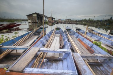 Rawa Pening Java, Endonezya en aynasal bir göldür.