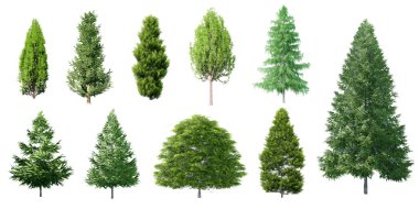 Koleksiyon Beyaz zemin üzerinde izole edilmiş 3 boyutlu güzel Noel Ağaçları 