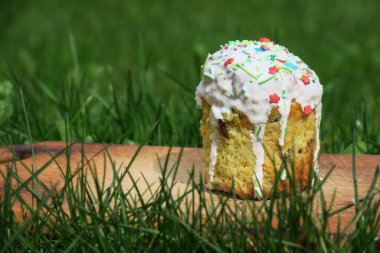 Çimlerin üzerinde neşeli Paskalya pastası