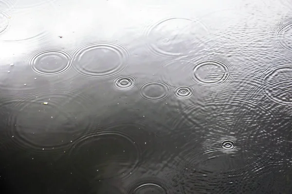 Капли Дождя Воде Реке — стоковое фото
