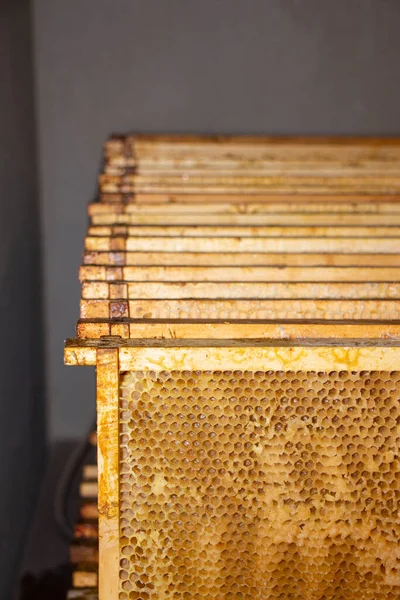 Empty Bee Frame Honey — Stock Photo, Image