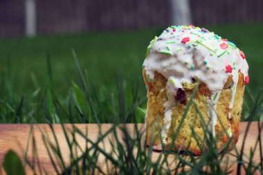 Renkli meyveli Paskalya pastası