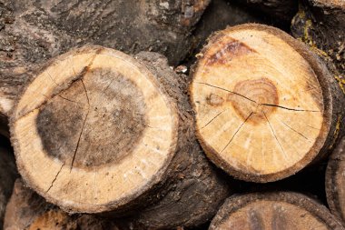 Yakacak odunla kesilmiş kuru ahşap dokusu