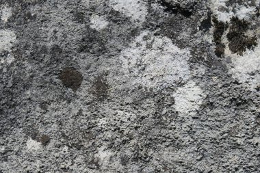 Eski gri kumtaşının dokusu