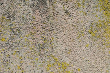 Eski sarımsı kumtaşının dokusu