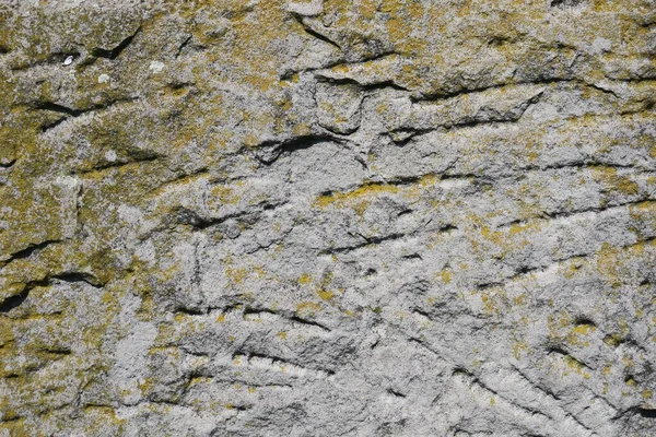 Textur Des Alten Gelblichen Sandsteins — Stockfoto