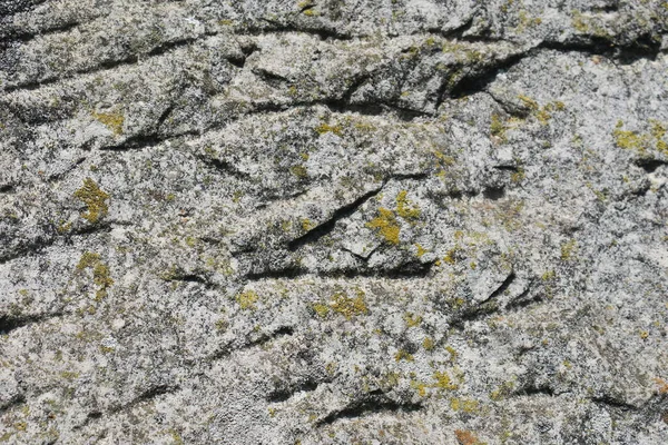Textur Des Alten Gelblichen Sandsteins — Stockfoto