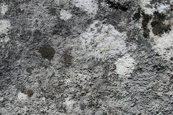 Textura Piedra Arenisca Gris Vieja — Foto de Stock