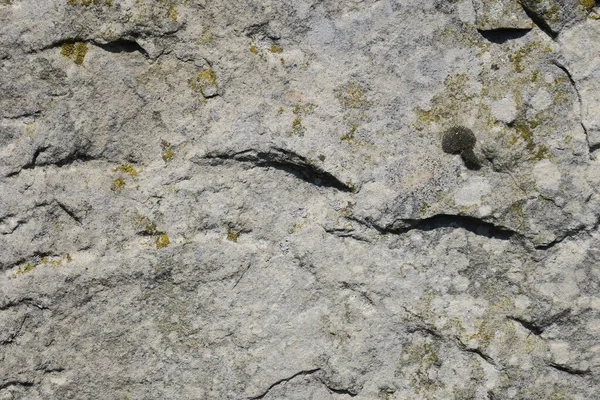 Текстура Старого Желтоватого Песчаника — стоковое фото