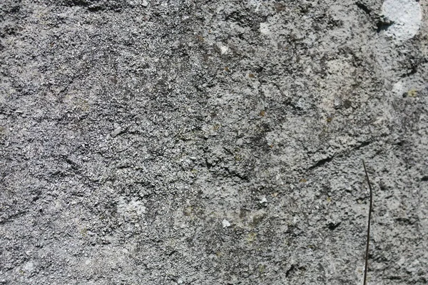 Textura Piedra Arenisca Gris Vieja —  Fotos de Stock