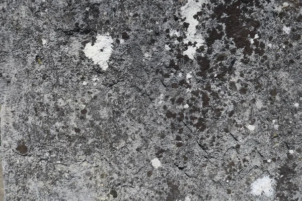 古い灰色の砂岩の質感 — ストック写真