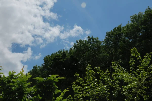 Bellissimo Cielo Blu Estivo Nuvole Bianche Una Giornata Sole — Foto Stock