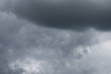 Mavi gökyüzü ve gri bulutlar güzel havada ormandaki ağaçların arka planında