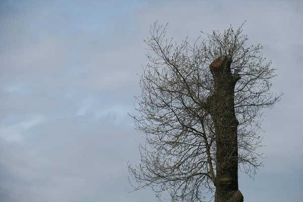 Blauer Himmel Und Graue Wolken Bei Schönem Wetter Vor Einem — Stockfoto