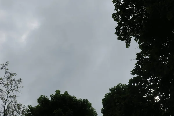 Ciel Bleu Nuages Gris Par Beau Temps Sur Fond Arbres — Photo