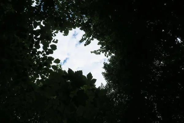 Ciel Bleu Nuages Gris Par Beau Temps Sur Fond Arbres — Photo