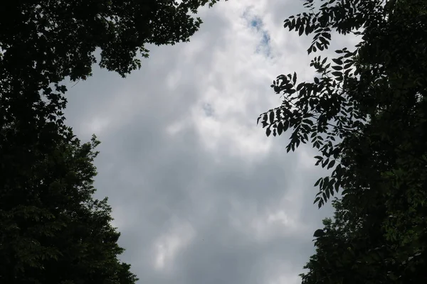 Modrá Obloha Šedé Mraky Dobrém Počasí Pozadí Stromů Lese — Stock fotografie