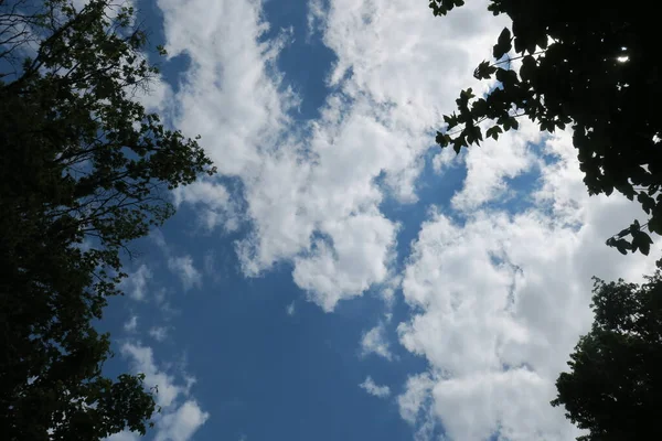 Ciel Bleu Nuages Gris Par Beau Temps Sur Fond Arbres — Photo