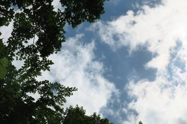 Cielo Blu Nuvole Grigie Con Bel Tempo Uno Sfondo Alberi — Foto Stock