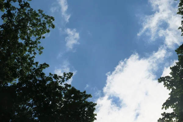 Cielo Blu Nuvole Grigie Con Bel Tempo Uno Sfondo Alberi — Foto Stock