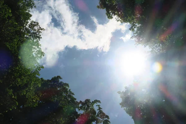 Cielo Blu Nuvole Grigie Con Bel Tempo Uno Sfondo Alberi — Foto Stock