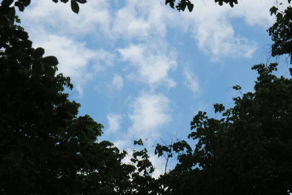 Cielo Blu Nuvole Grigie Con Bel Tempo Uno Sfondo Alberi — Foto Stock