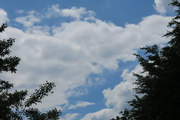 Blå Himmel Och Grå Moln Bra Väder Bakgrund Träd Skogen — Stockfoto