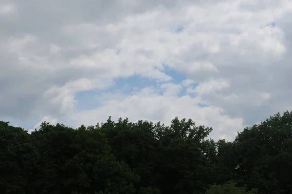 Céu Azul Nuvens Cinzas Bom Tempo Fundo Árvores Floresta — Fotografia de Stock