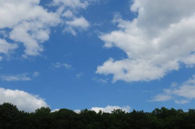 Mavi gökyüzü ve gri bulutlar güzel havada ormandaki ağaçların arka planında