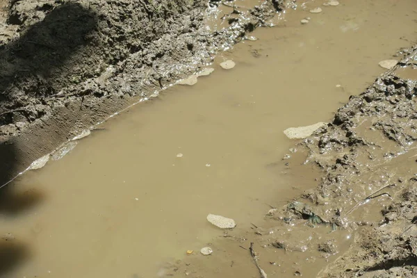 Puddle Στο Δάσος Μετά Βροχή Και Βάλτο — Φωτογραφία Αρχείου