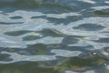 Gölde ve bitki örtüsünde su ve fırtına