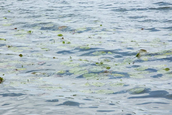 Air Dan Badai Danau Dan Vegetasi — Stok Foto