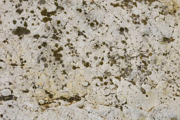 Textuur Van Oude Betonnen Vloer — Stockfoto