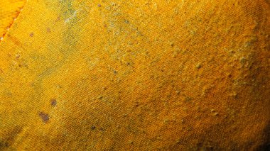 Arılar için eski renkli yastık