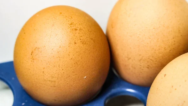 Ayam Kuning Telur Lemari Dapur — Stok Foto