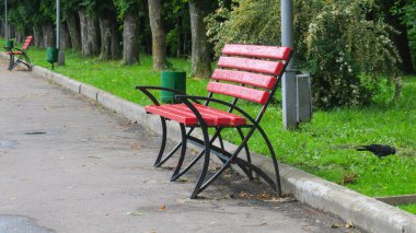 Yağmurdan sonra parkta kırmızı tahta bank