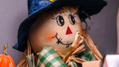 Gözleri olan oyuncak balkabağı. Kumaş bebek