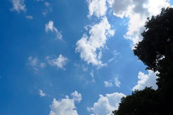 Hermoso Cielo Azul Verano Nubes Blancas — Foto de Stock