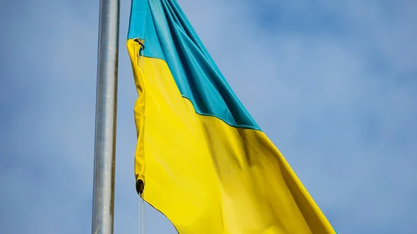 Жовтий Синій Прапор України Флагштоку — стокове фото