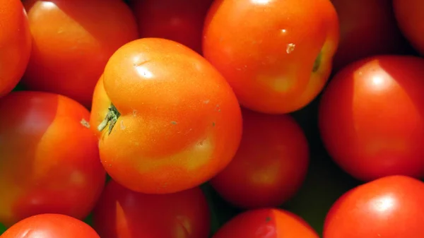 Leckere Kleine Rote Tomaten Für Salat — Stockfoto