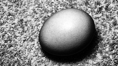 Mutfakta ev yapımı tavuk haşlanmış yumurta.