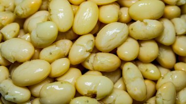 Bir kasede kaynamış sarı fasulye.