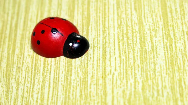 Petite Coccinelle Rouge Sur Placard — Photo